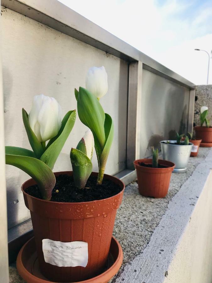Boavista Villa Guesthouse Porto Kültér fotó